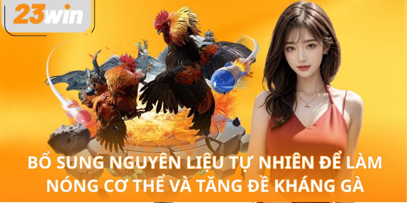 Bổ sung nguyên liệu tự nhiên để làm nóng cơ thể và tăng đề kháng gà