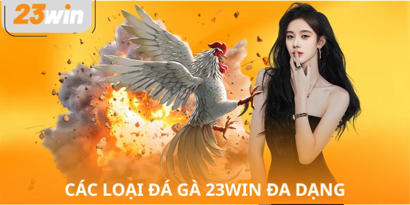 Các loại đá gà 23WIN đa dạng