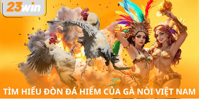 Tìm hiểu đòn đá hiểm của gà nòi Việt Nam