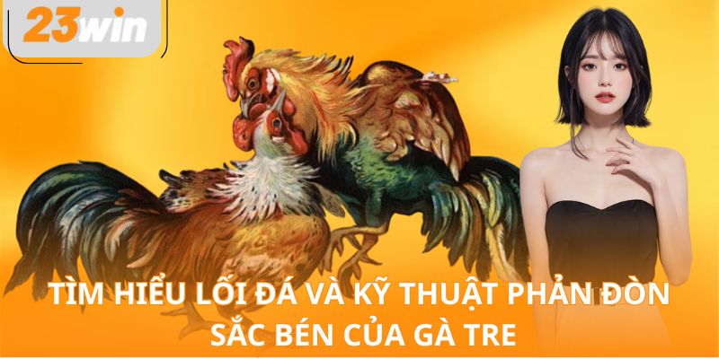 Tìm hiểu lối đá và kỹ thuật phản đòn sắc bén của gà tre