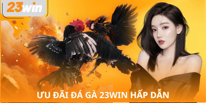 Ưu đãi đá gà 23WIN hấp dẫn