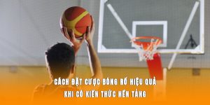 Cách đặt cược bóng rổ hiệu quả khi có kiến thức nền tảng