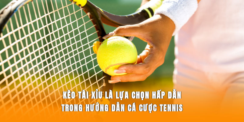 Kèo tài xỉu là lựa chọn hấp dẫn trong hướng dẫn cá cược Tennis
