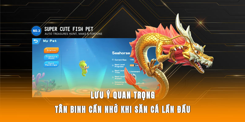 Lưu ý quan trọng tân binh cần nhớ khi săn cá lần đầu