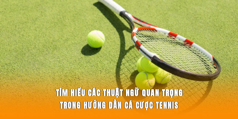 Tìm hiểu các thuật ngữ quan trọng trong hướng dẫn cá cược Tennis